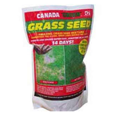 Canada Green Grass