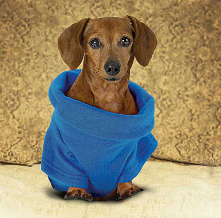 Snuggie For Dogs