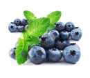 Blueberry Giant