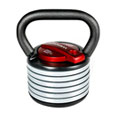 Weider PowerBell