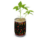 Ghost Pepper